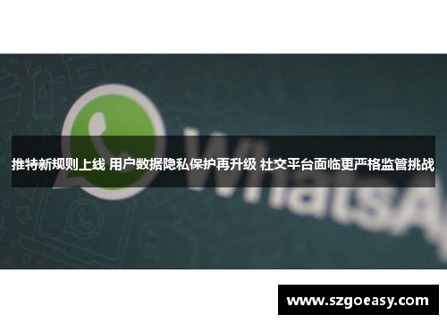 推特新规则上线 用户数据隐私保护再升级 社交平台面临更严格监管挑战